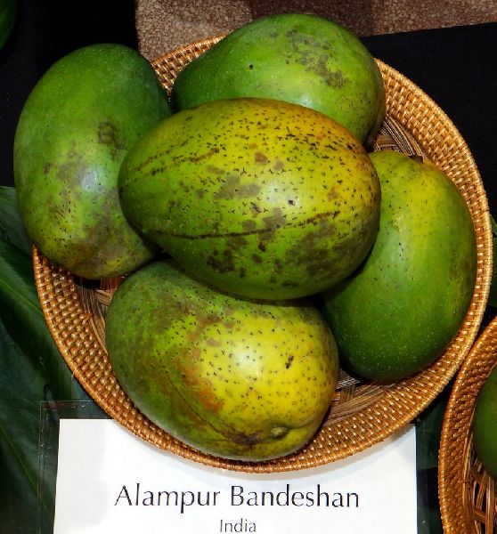 Alampur Baneshan Mango, for Food processing, Direct consumption, Juice making, Packaging Type : 3 KG PER COTTON