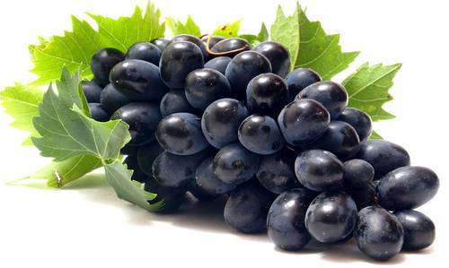 Organic fresh black grapes, Variety : Red Globe