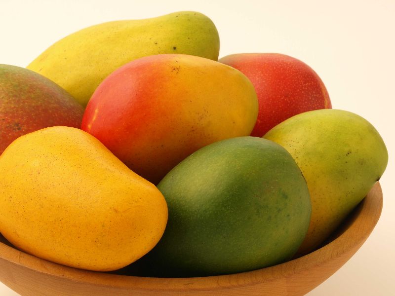 Malda Mango, Packaging Type : 3 KG PER COTTON