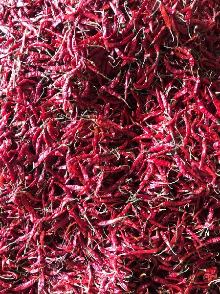 Dry Red Chilli