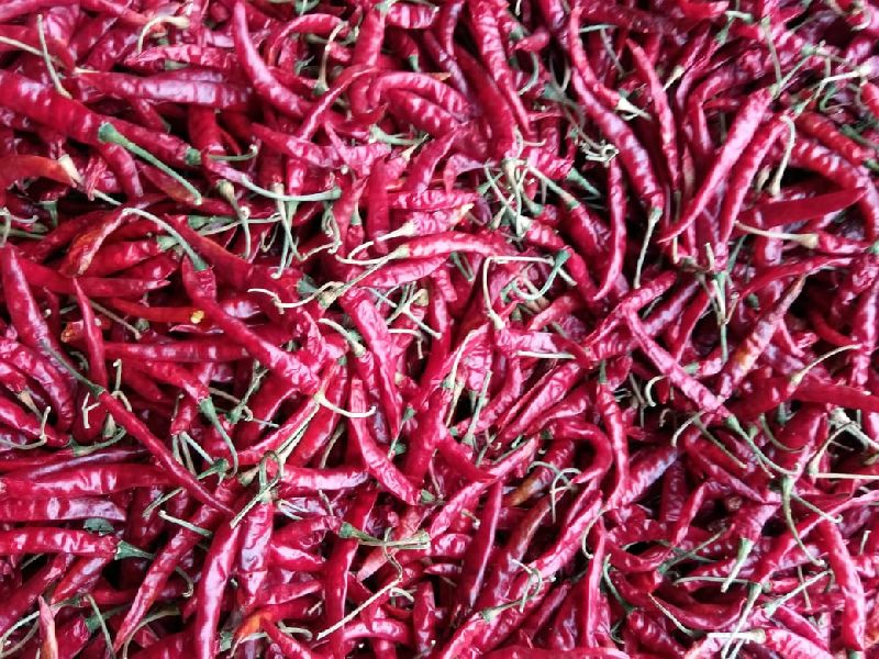 Guntur Red Chilli