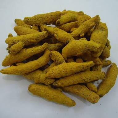 Turmeric Fingers Curcumin Variety Style Dried Evergreen