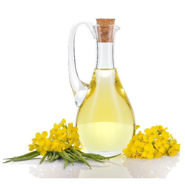 Refined Organic Rapeseed Oil, for Cooking, Form : Liquid
