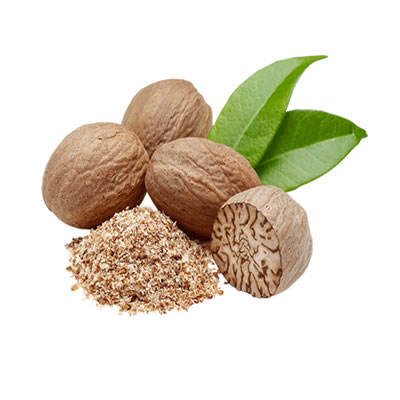 Organic nutmeg, Packaging Type : PP Bags