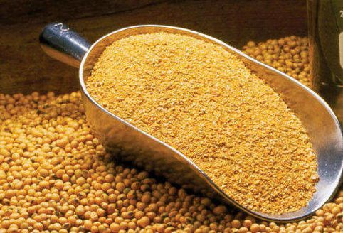 Organic Soybean Meal, for Animal Feed, Cattle Feed, Form : Granules