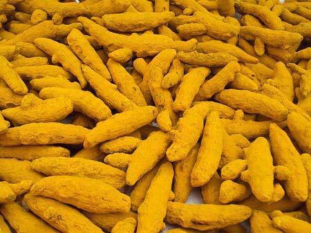 Natural turmeric finger, Style : Dried