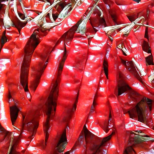 Organic Dried Red Chilli