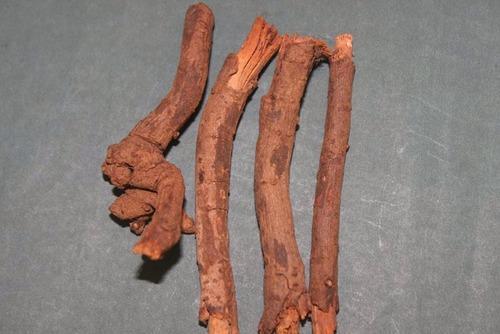 Chitrak Root, Grade : Pharmaceutical Grade
