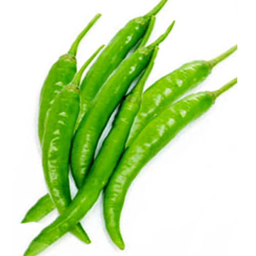 Fresh Green Chilli, for High Nutritive Value, Packaging Size : 25 Kg