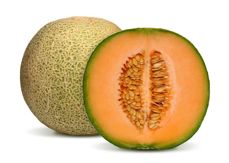 fresh muskmelon