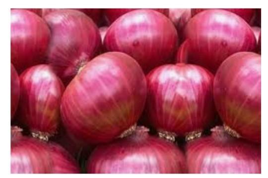 Round Natural onion, for Human Consumption, Cooking, Packaging Type : Jute Bag, Gunny Bag