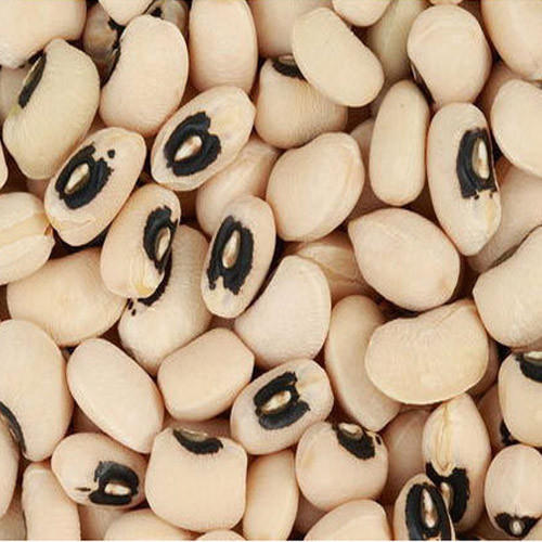 Black Eyed Beans, Shelf Life : 1Years