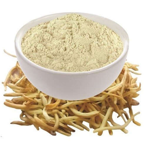 Safed Musli Powder, for Medicine Use, Purity : 100%