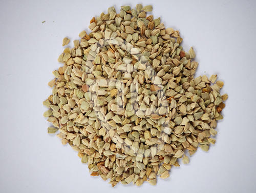 Organic Senna Seeds, for Medicinal, Purity : 99%