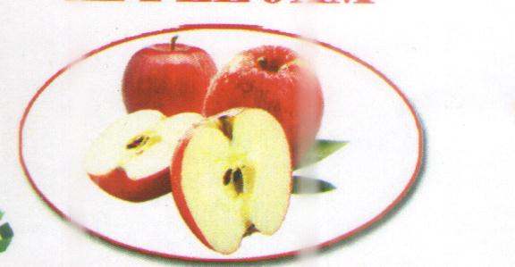 Pure  apple Fruit Jam