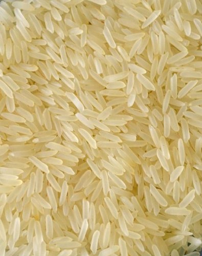Common basmati rice, for Cooking, Food, Human Consumption, Alcohol, Certification : FSSAI Certified