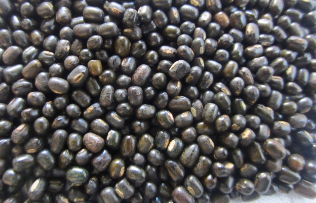 Organic Black Gram Beans, for Cooking, Packaging Type : Jute Bag