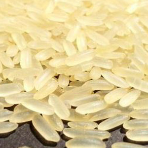 Organic Swarna Non Basmati Rice, Shelf Life : 2 Years