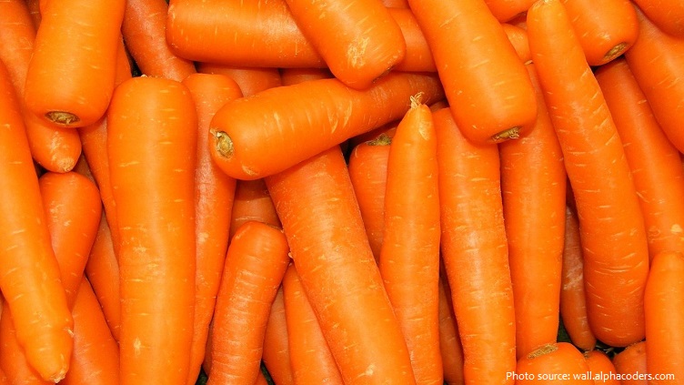 Natural Carrots, for Human Consumption, Packaging Type : Plastic Bag, PP bags