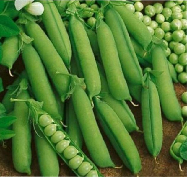 vegetable green peas