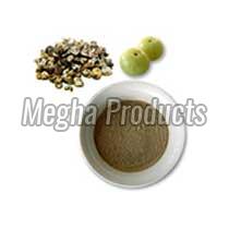 Organic Amla Powder, Shelf Life : 12 Month