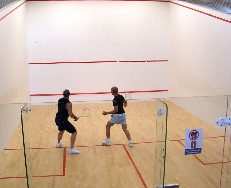 squash court wall painting services
