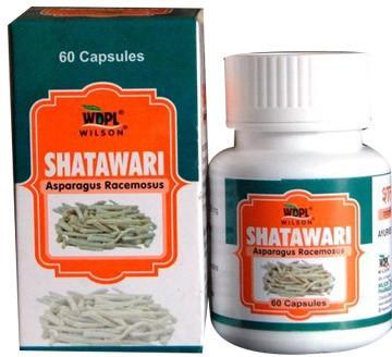 Shatavari Capsule