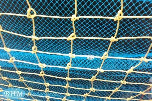 PP Rope Safety Net