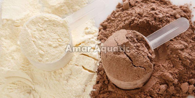 Protein Powder, for Health Supplement, Feature : Highly Nutritious