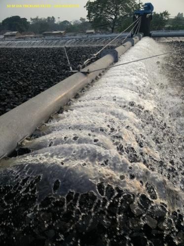 Trickling Filter