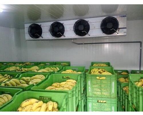 Fruit Ripening Chamber, Voltage : 230 / 440 VAC