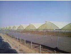 Naturally Ventilated Greenhouse, Color : White, Cream etc