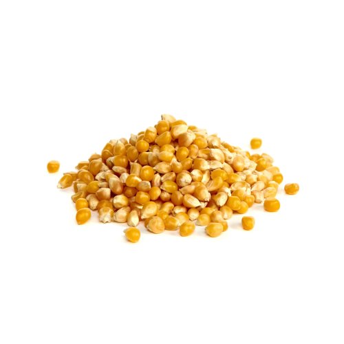 Bizznapop Imported Popcorn, Packaging Size : 25 Kgs