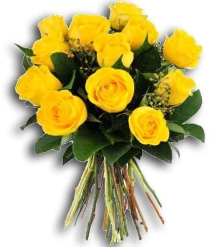 Yellow Roses, Color : Yellow 