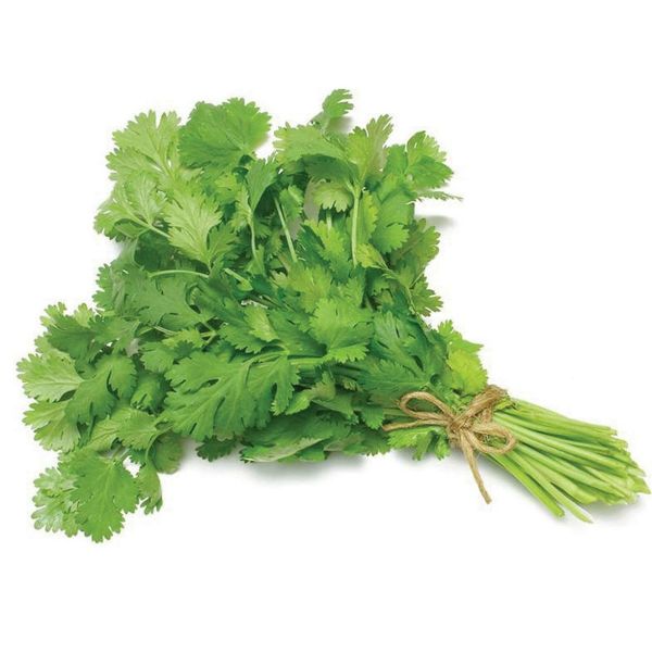 Fresh Coriander Leaves, Packaging Size 50g at Best Price in Bilaspur