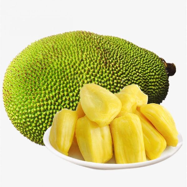 Fresh Jackfruit, Feature 100 natural, Great taste, Packaging Size