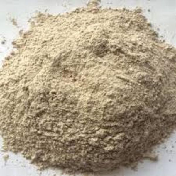 Ganoderma Extract GL Powder