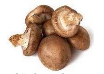 Common Shiitake Mushroom, for Cooking, Oil Extraction, Packaging Type : Plastic Bag, Plastic Container