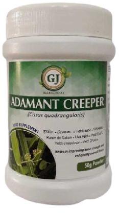 GJ Adament Creeper Herbal Powder, Shelf Life : 24 Months