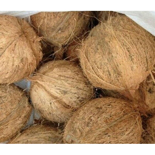 Hard Organic Pollachi Coconut, for Freshness, Good Taste, Packaging Type : Jute Bags