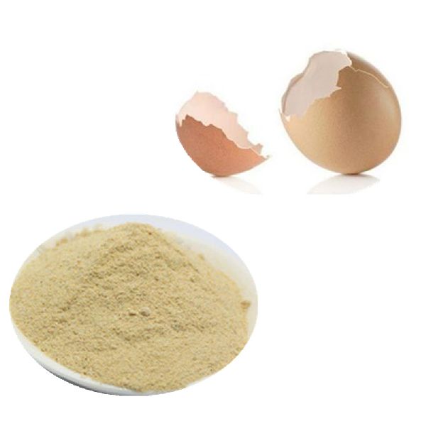 Egg Shell Powder Malika Axom, Guwahati, Assam