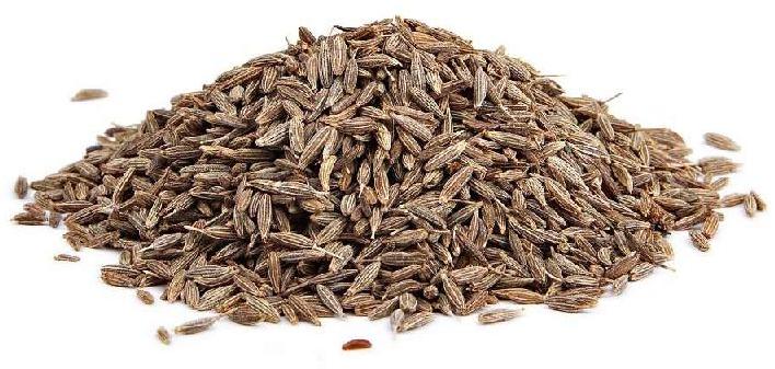 Royal Tree Natural Cumin Seed, for Cooking, Spices, Certification : FSSAI Certified