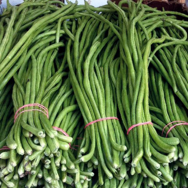 Fresh Cowpea Beans