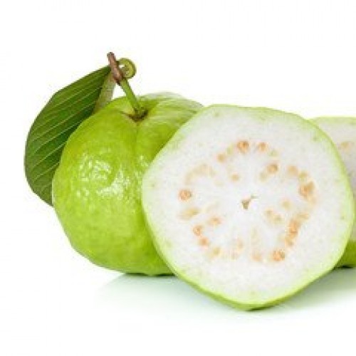 Organic fresh guava, Shelf Life : 10 Days