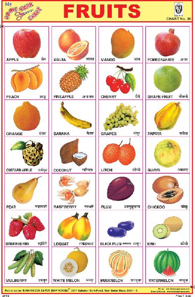 Paper Fruits Sticker Chart, Size : Standard