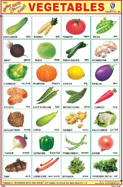 Paper Vegetable Sticker Chart, Size : Standard