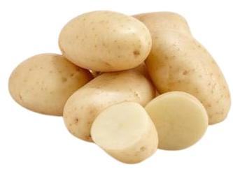 Natural fresh potato, Variety : Kufri Jyoti, Kufri Bahar