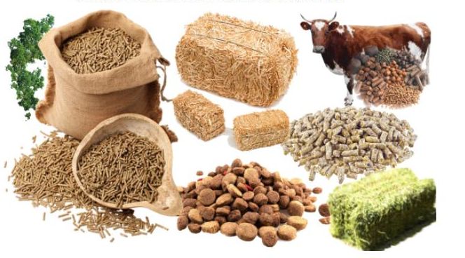 Cattle Feed Additives, Packaging Type : Jute Bags, PP Bags