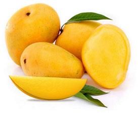alphonso mango