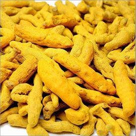 Cuddapah Turmeric Bulb